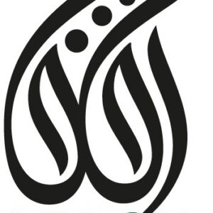 دامنه تخصصی پخش